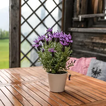 Haus Prantl * Gallzein